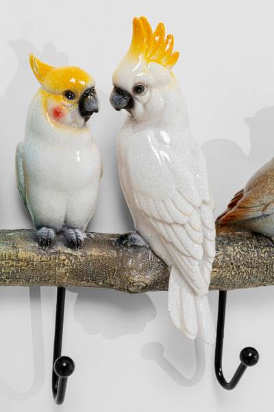Garderobenleiste Exotic Birds - Mehrfarbig