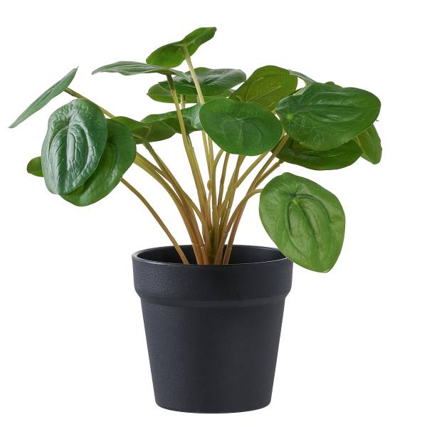 Kunstpflanze Pelia - Grün - Polyethylen - 28 x 28 x 28 cm