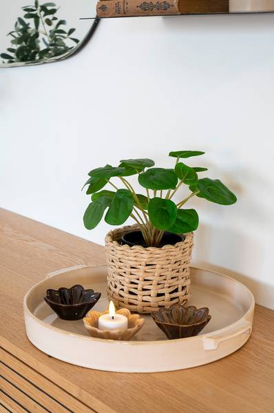 Kunstpflanze Pelia - Grün - Polyethylen - 28 x 28 x 28 cm