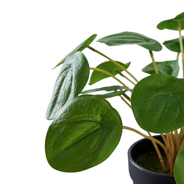 Kunstpflanze Pelia - Grün - Polyethylen - 28 x 28 x 28 cm