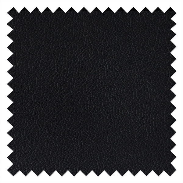 Esszimmerstuhl ALEDAS - Schwarz - Schwarz - 2er Set