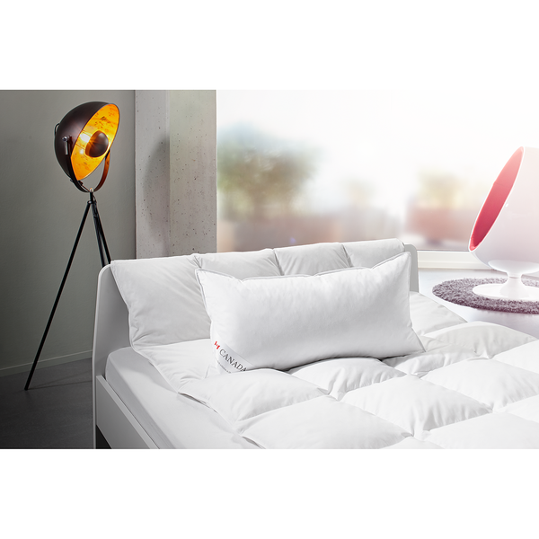 Kopfkissen Canada - 40 x 80 cm - 70% Federn, 30% Daunen