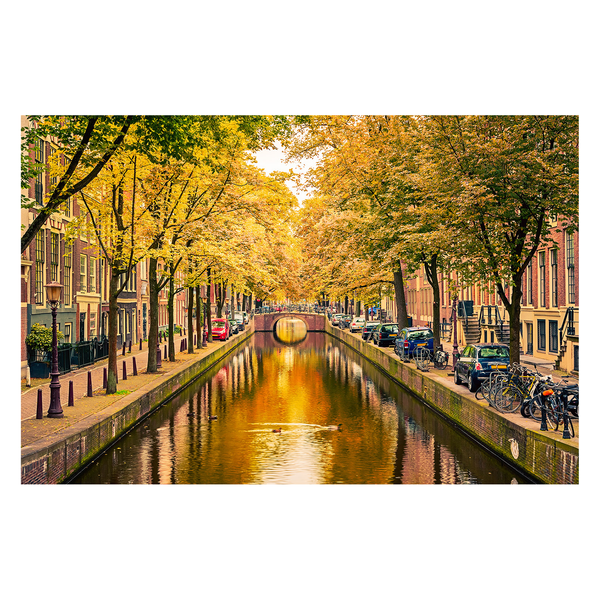 Bild Autumn In Amsterdam - Multicolor - Mischgewebe - Kiefer - 120 x 80 x 2 cm