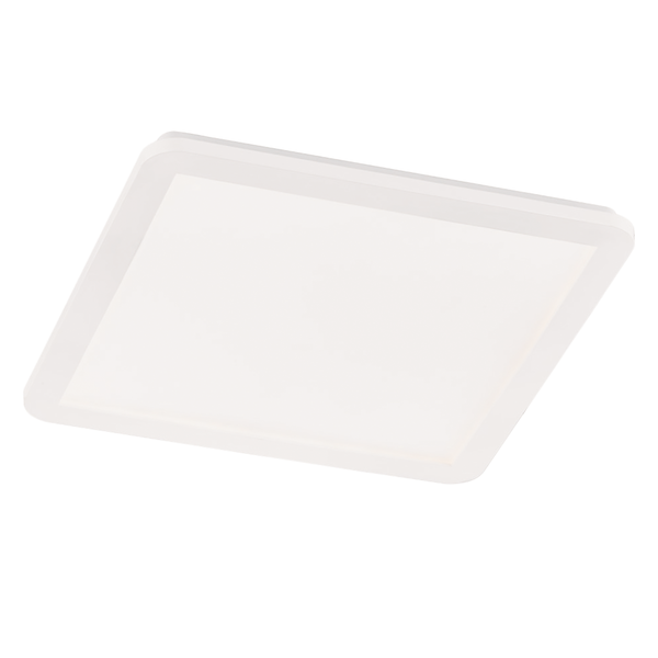 LED-Deckenleuchte Camillus III - Acrylglas - 1-flammig