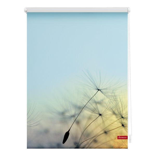 Klemmfix-Rollo Pusteblume - Webstoff - Hellblau - 60 x 150 cm