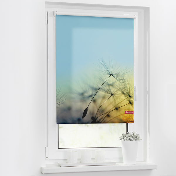 Klemmfix-Rollo Pusteblume - Webstoff - Hellblau - 60 x 150 cm