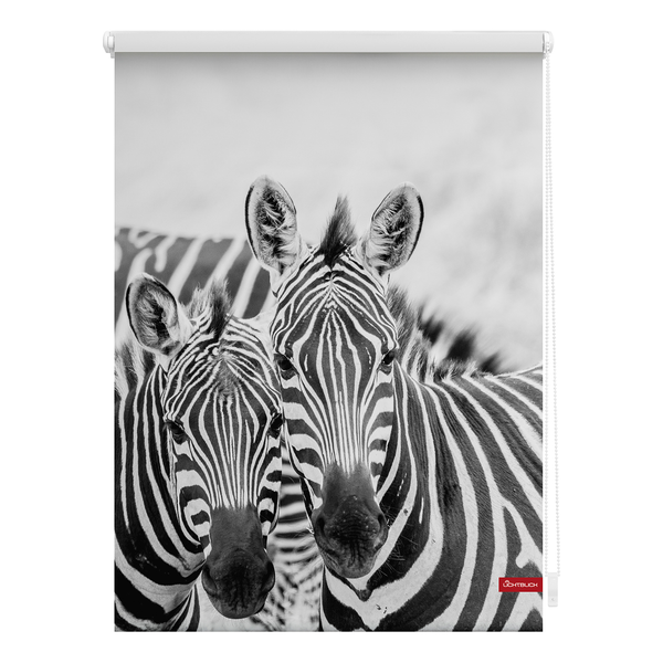 Klemmfix-Rollo Zebra - Polyester - Schwarz / Weiß - 90 x 150 cm