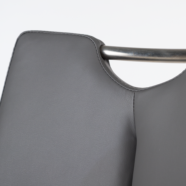 Freischwinger Ratos (2er-Set) - Kunstleder / Edelstahl - Grau