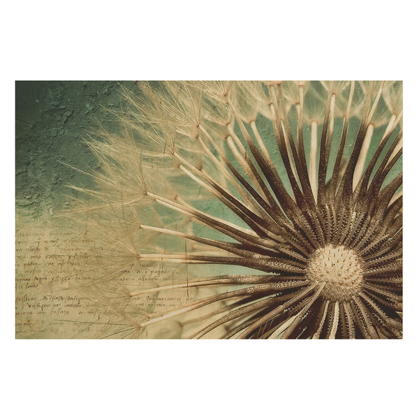 Bild Pusteblume - Birke Multiplex Holzplatte - Mehrfarbig - 90 x 60 cm
