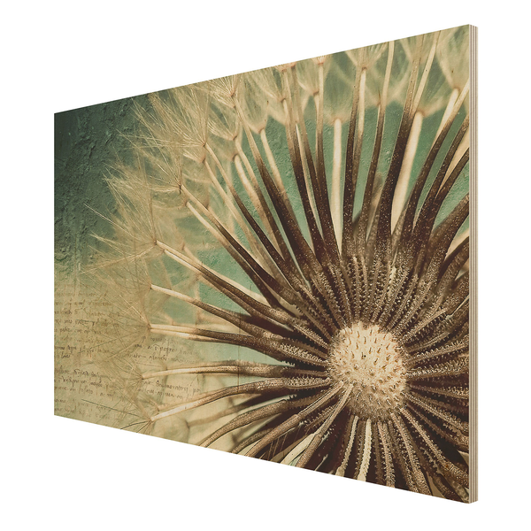 Bild Pusteblume - Birke Multiplex Holzplatte - Mehrfarbig - 90 x 60 cm