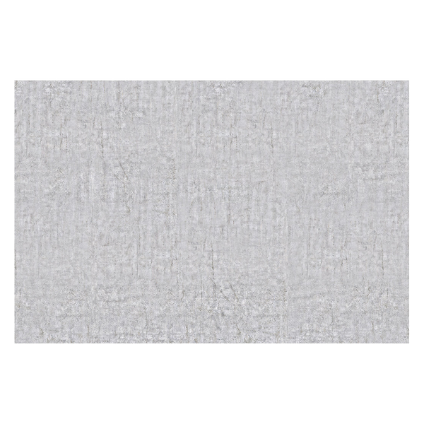 Vliestapete Beton Ciré - Vliespapier - Hellgrau - 384 x 255 cm