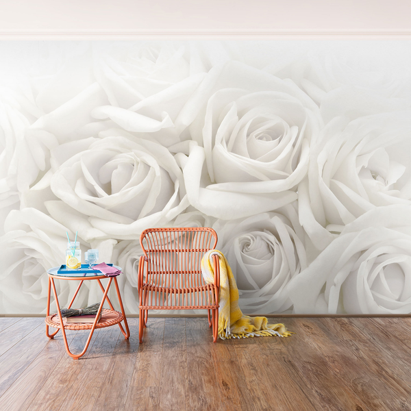 Vliestapete Weiße Rosen - Vliespapier - Weiß - 432 x 290 cm