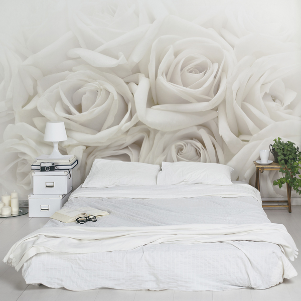 Vliestapete Weiße Rosen - Vliespapier - Weiß - 432 x 290 cm