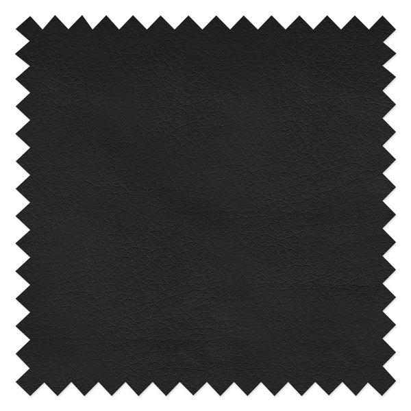 Freischwinger Marco - Kunstleder Putri: Schwarz - 2er Set