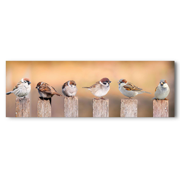 Bild Vogelfamilie - Holzwerkstoff - Mehrfarbig