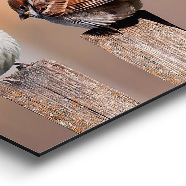 Bild Vogelfamilie - Holzwerkstoff - Mehrfarbig