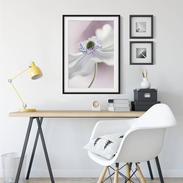 Bild Anemonenbrise I - Kiefer teilmassiv - Schwarz - 30 x 40 cm