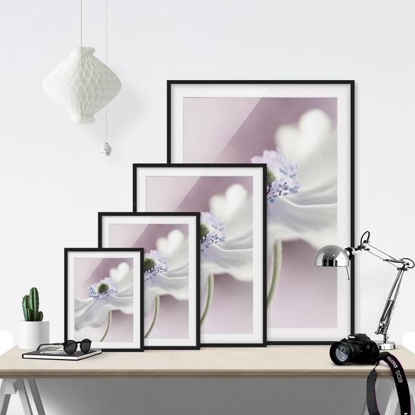 Bild Anemonenbrise I - Kiefer teilmassiv - Schwarz - 30 x 40 cm