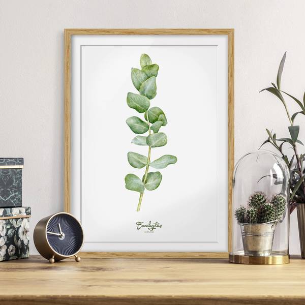 Bild Aquarell Botanik Eukalyptus IV - Eiche teilmassiv - Eiche - 30 x 40 cm