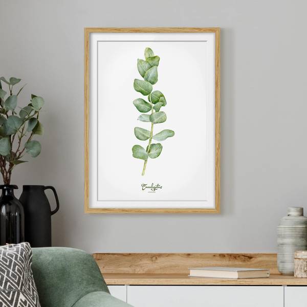 Bild Aquarell Botanik Eukalyptus IV - Eiche teilmassiv - Eiche - 30 x 40 cm