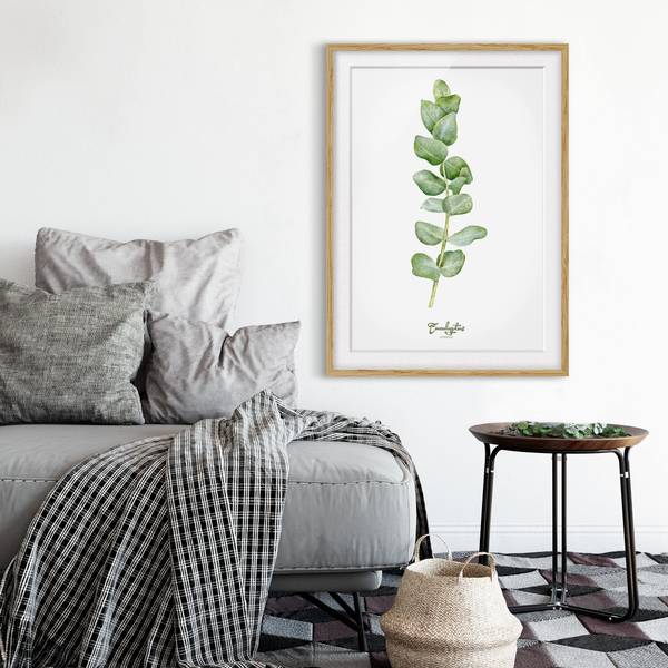 Bild Aquarell Botanik Eukalyptus IV - Eiche teilmassiv - Eiche - 30 x 40 cm