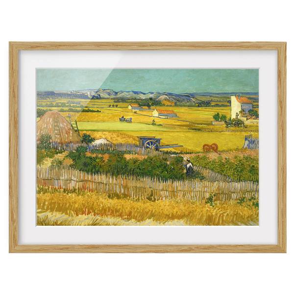 Bild Die Ernte IV - Eiche teilmassiv - Eiche - 100 x 70 cm