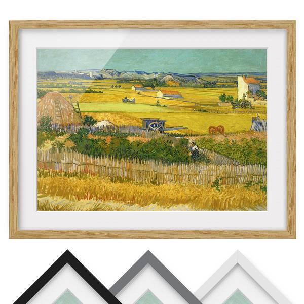 Bild Die Ernte IV - Eiche teilmassiv - Eiche - 100 x 70 cm