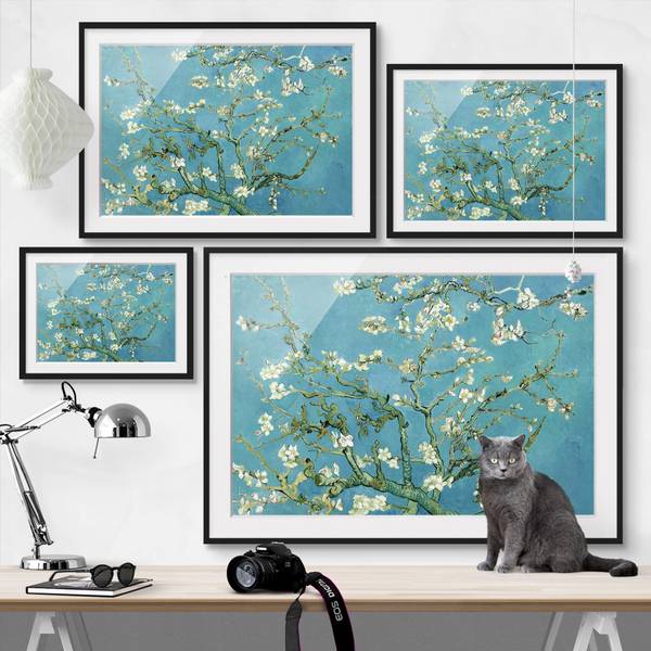 Bild Mandelblüte V - Kiefer teilmassiv - Schwarz - 100 x 70 cm