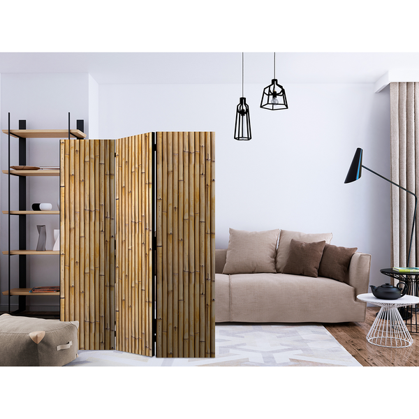 Paravent Amazonian Wall - Vlies - Braun - 3-teilig