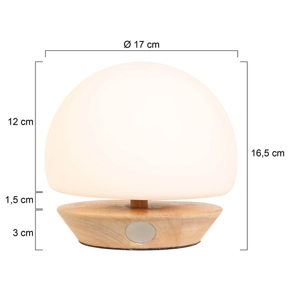 Tischleuchte Ancilla Typ D - Milchglas / Eisen - 1-flammig
