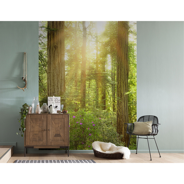 Vlies Fototapete Redwood - Vlies - Bunt