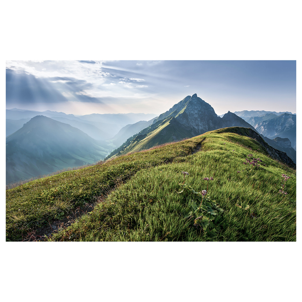 Vlies Fototapete Green Vein - Vlies - Grün / Blau / Weiß