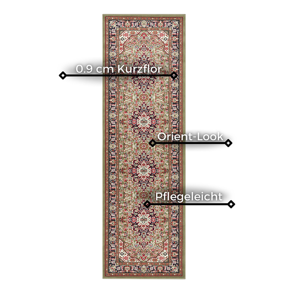 Kurzflorteppich Skazar Isfahan - Polypropylen - Grün - 200 x 290 cm