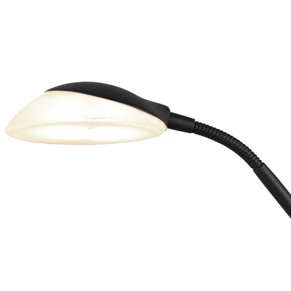 LED-Stehleuchte Orson - Glas / Aluminium - 2-flammig - Schwarz