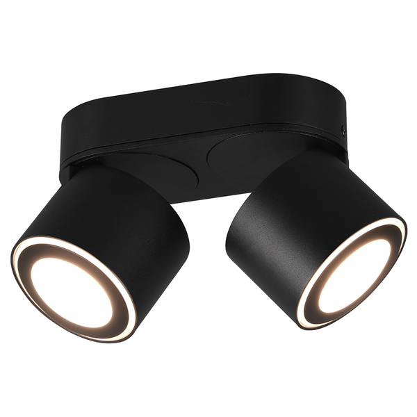 LED-Deckenleuchte Taurus - Polyethylen / Aluminium - Schwarz - Flammenanzahl: 2