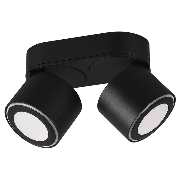 LED-Deckenleuchte Taurus - Polyethylen / Aluminium - Schwarz - Flammenanzahl: 2