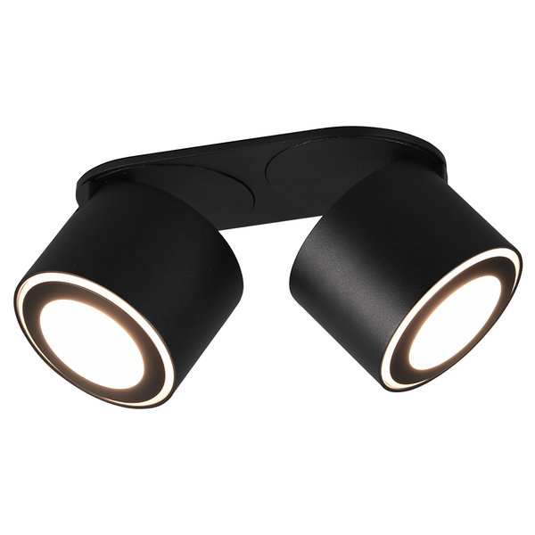 LED-Deckenleuchte Taurus - Polyethylen / Aluminium - Schwarz - Flammenanzahl: 2