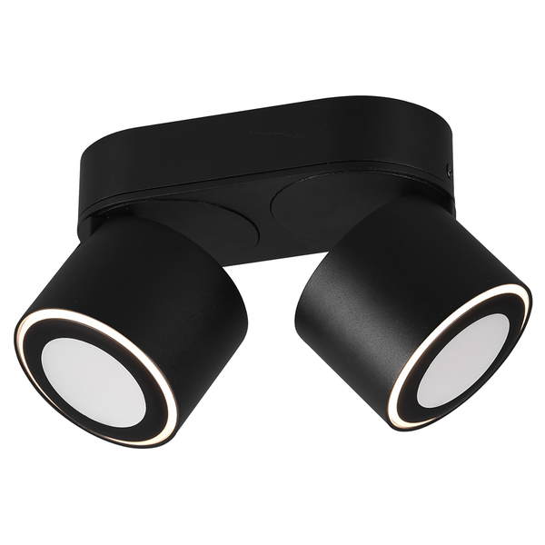 LED-Deckenleuchte Taurus - Polyethylen / Aluminium - Schwarz - Flammenanzahl: 2