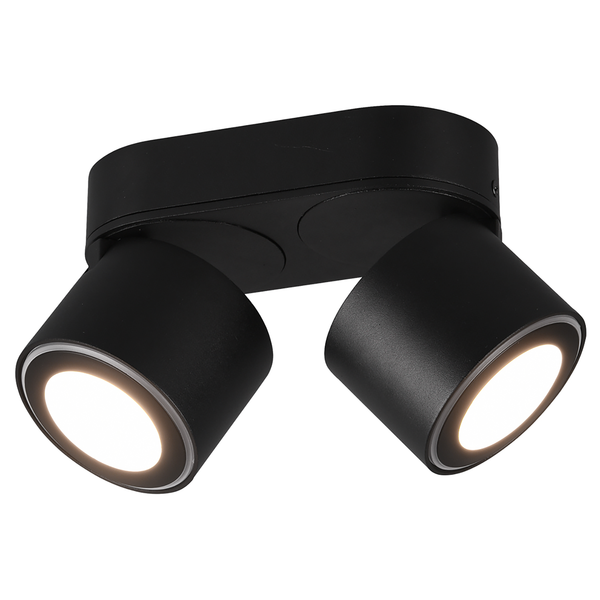LED-Deckenleuchte Taurus - Polyethylen / Aluminium - Schwarz - Flammenanzahl: 2
