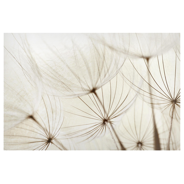 Magnettafel Sanfte Gräser - Stahl / Vinyl-Spezialfolie - Beige - 90 x 60 cm