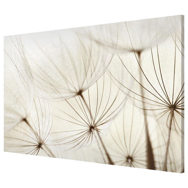 Magnettafel Sanfte Gräser - Stahl / Vinyl-Spezialfolie - Beige - 90 x 60 cm