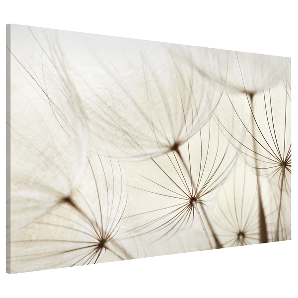 Magnettafel Sanfte Gräser - Stahl / Vinyl-Spezialfolie - Beige - 90 x 60 cm