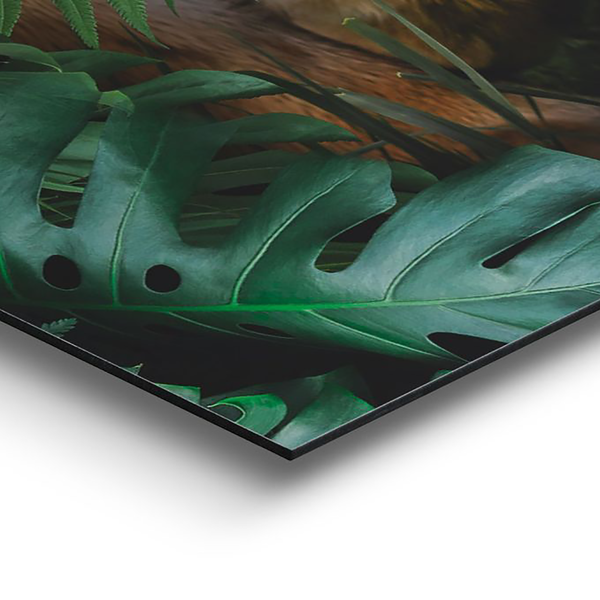 Wandbild Tiger - Grün