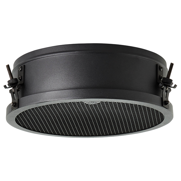 Deckenleuchte Zois II - Eisen - 1-flammig