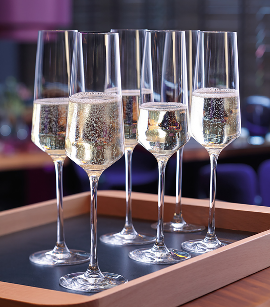 Sektglas Puccini (6er-Set) - Transparent - 280 ml