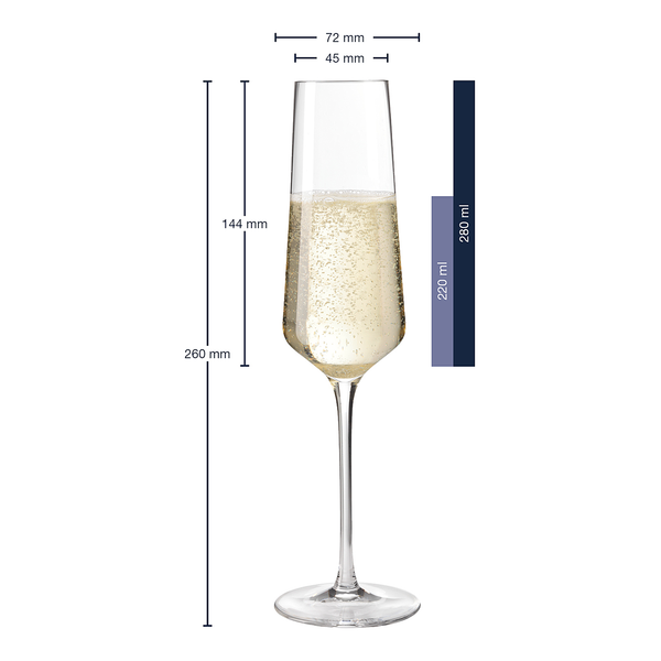 Sektglas Puccini (6er-Set) - Transparent - 280 ml
