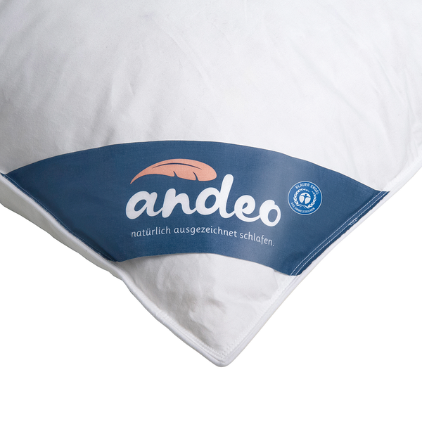 Kopfkissen Andeo - Federn / Daunen - Weiß
