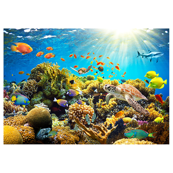 Vlies Fototapete Underwater Land - Vlies - Mehrfarbig - 100 x 70 cm