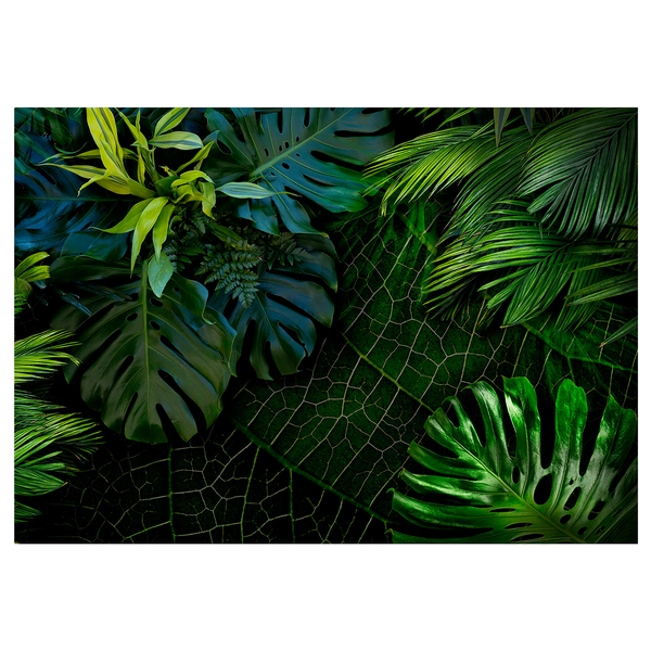 Vliestapete Darl Jungle Grüne Blätter - Vlies - Grün - 400 x 280 cm