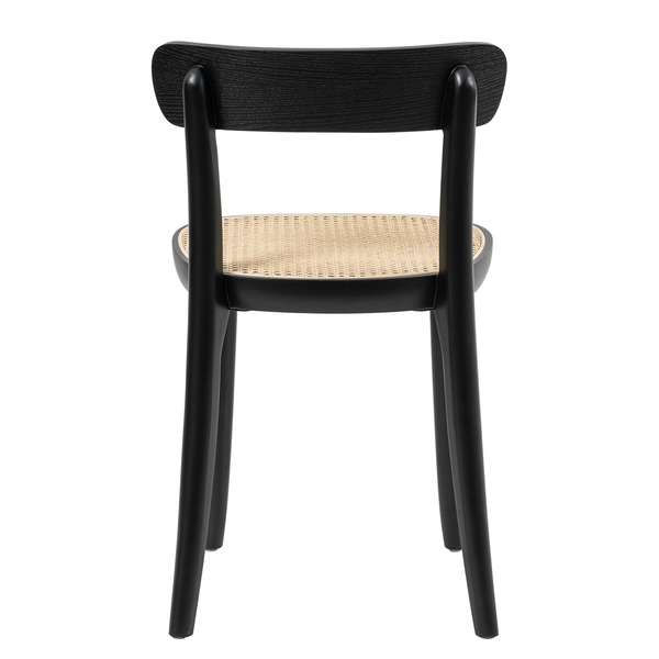 Esszimmerstuhl Darcey (2er-Set) - Polywood & Rattan / Buche massiv - Rattan / Schwarz